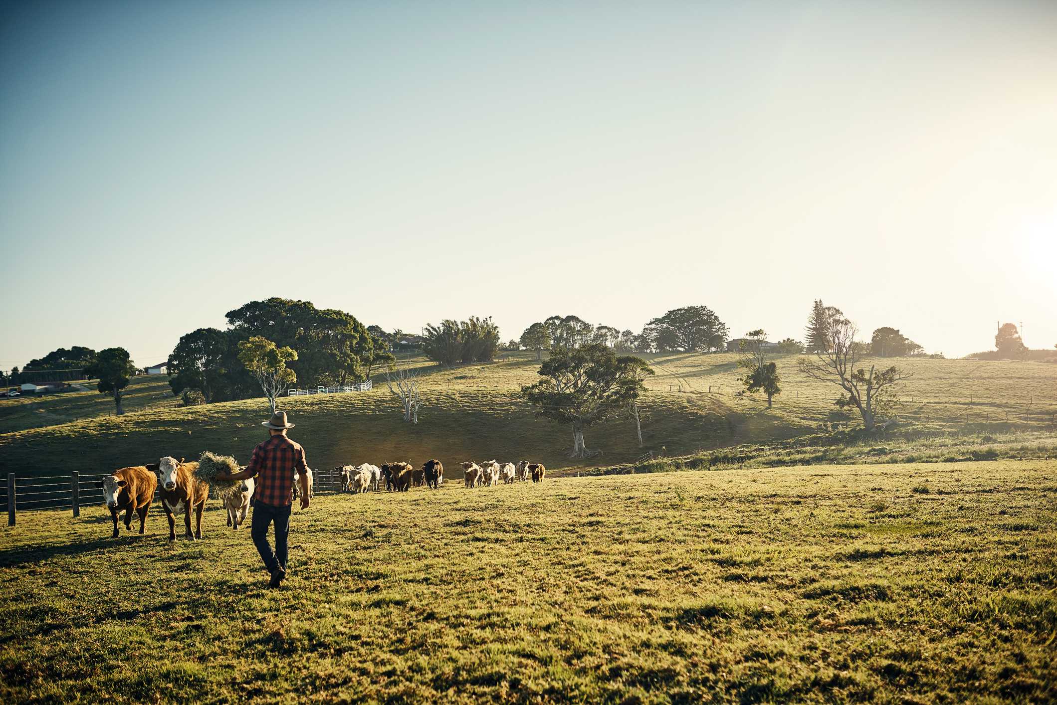 Leilão de imóvel rural