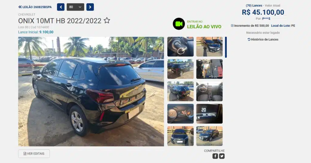 Site da Vip Leilões